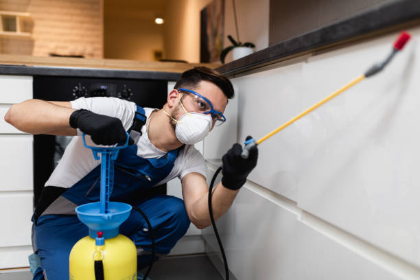 Best Affordable Pest Control Services  in Dyer, TN
