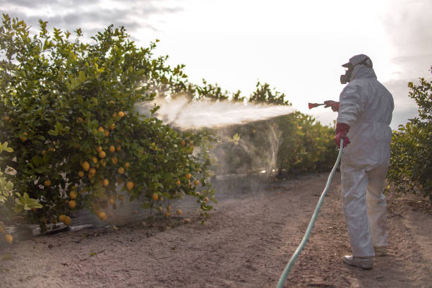 Best Cockroach Control Services  in Dyer, TN