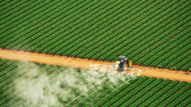 Best Pest Prevention Services  in Dyer, TN