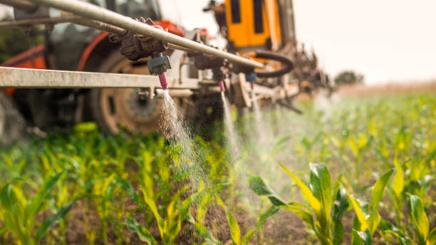 Best Pest Control for Homes  in Dyer, TN